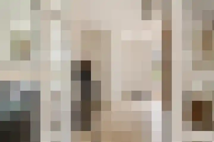 Dwarsreed 2 De Westereen thumbnail 9