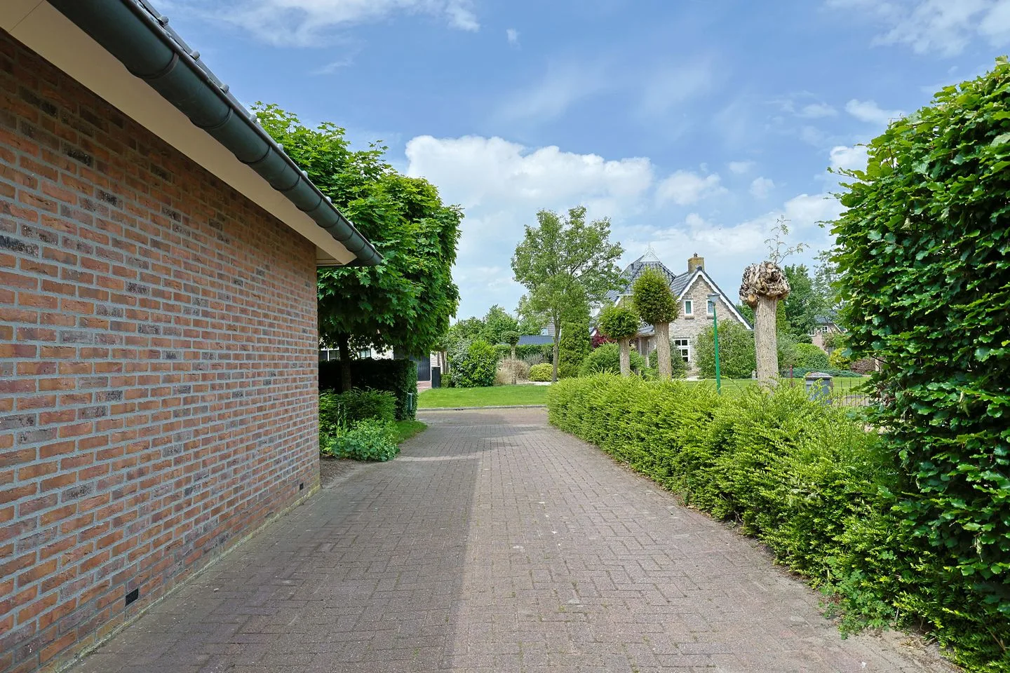 Dwarsreed 4 De Westereen thumbnail 42