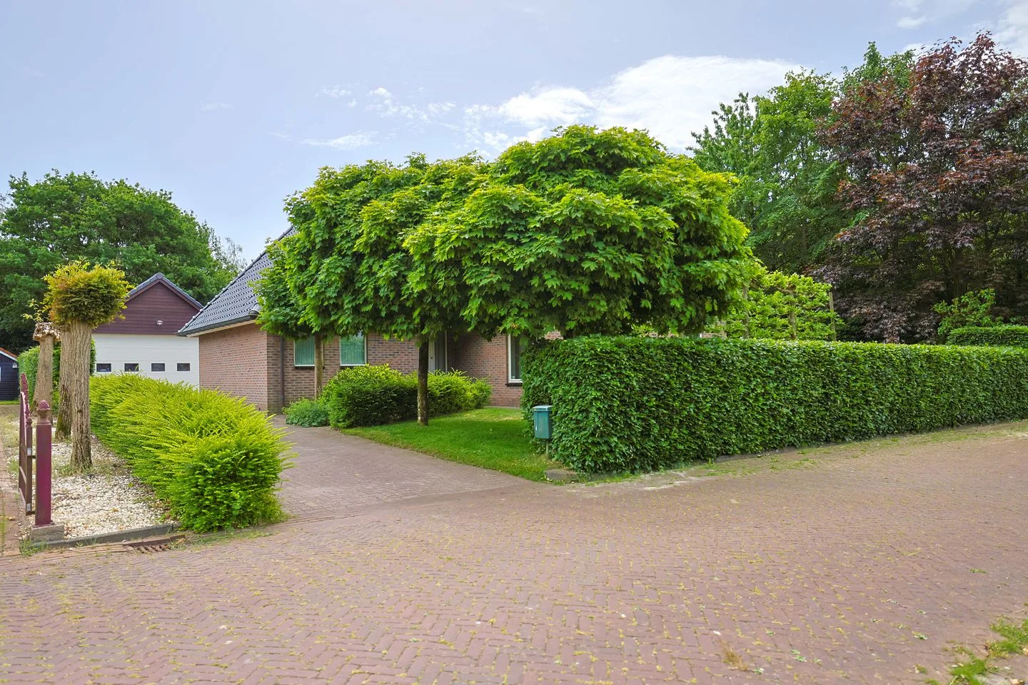 Dwarsreed 4 De Westereen thumbnail 7