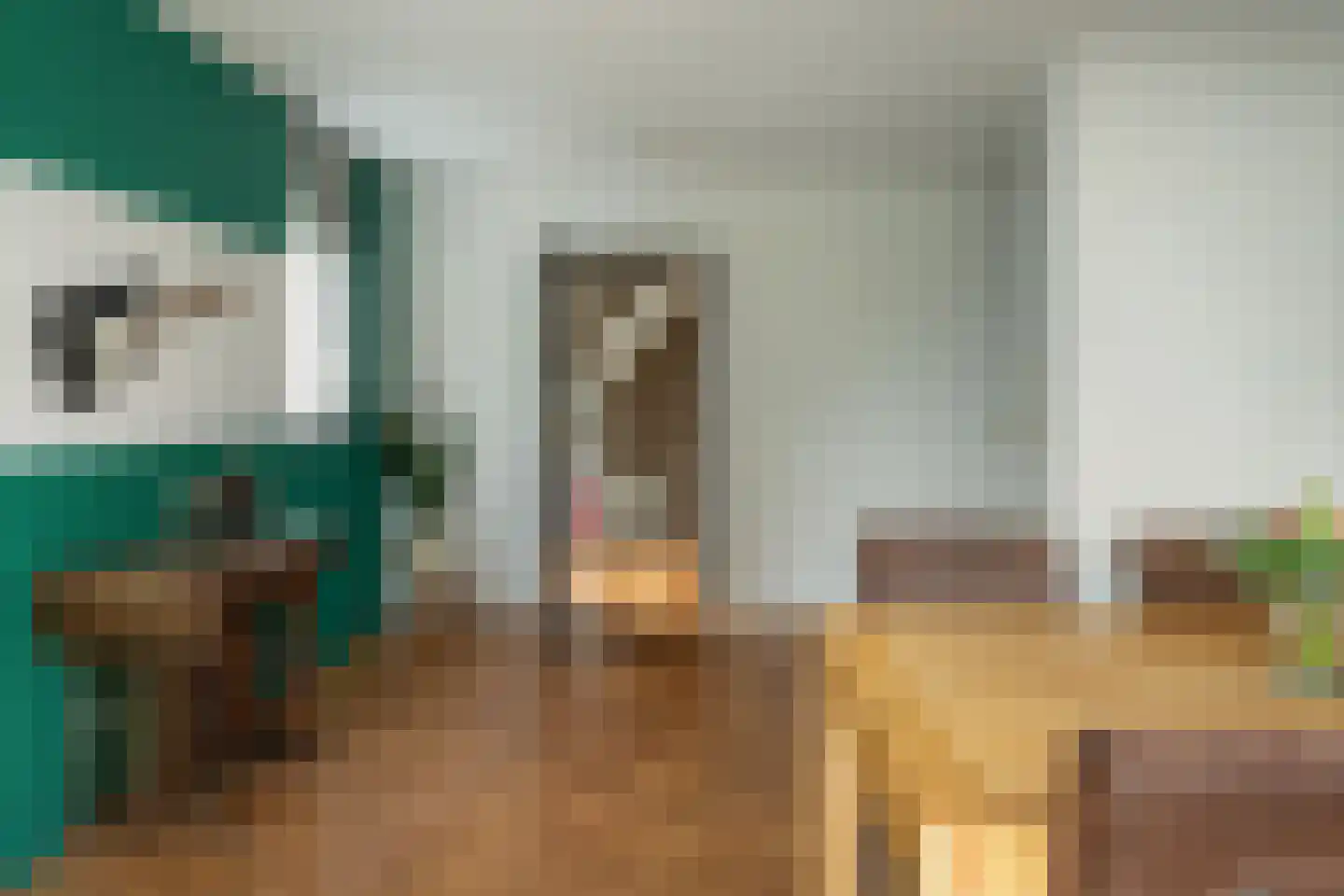 Dwarsryd 3 Idskenhuizen thumbnail 13