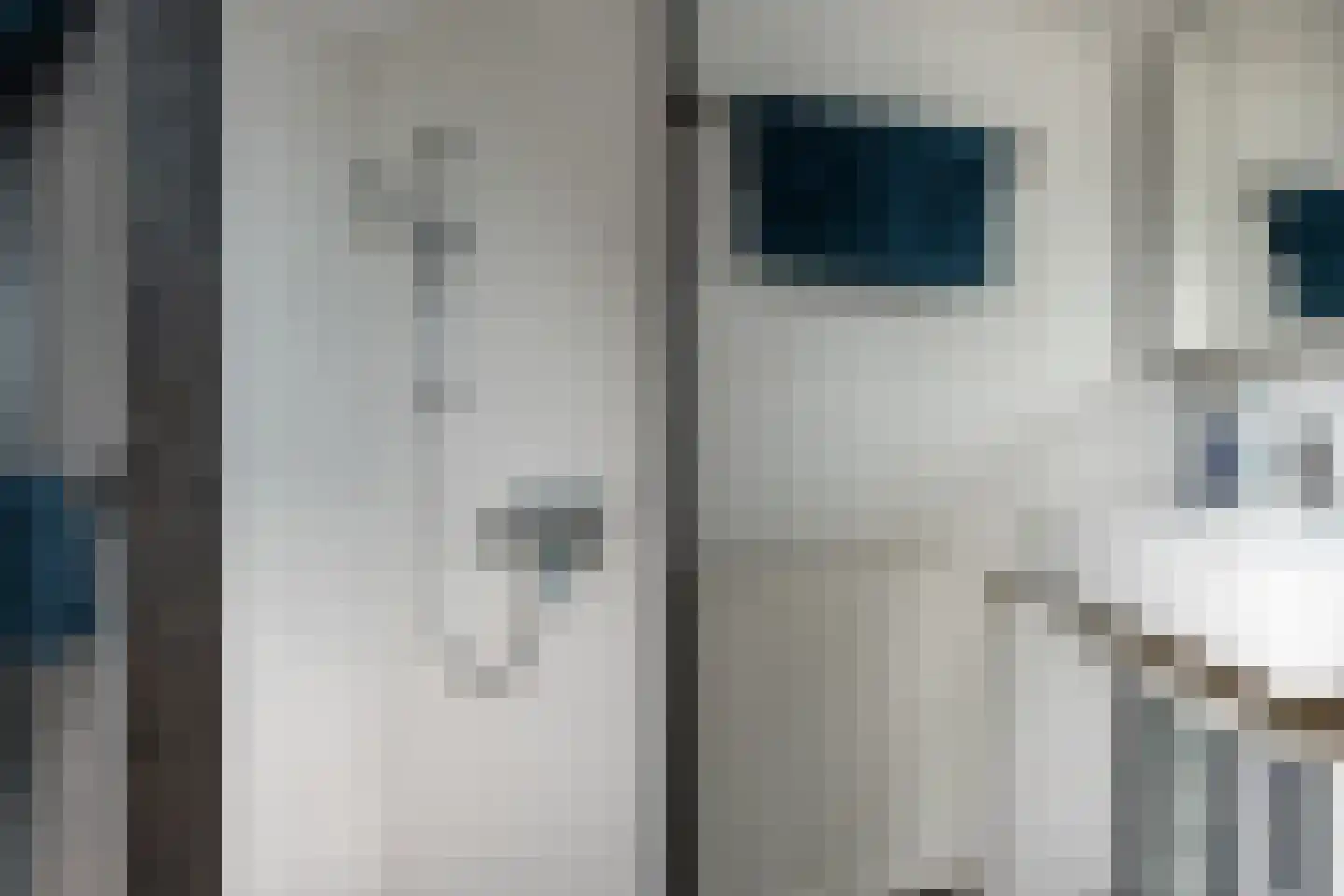 Dwarsryd 3 Idskenhuizen thumbnail 18