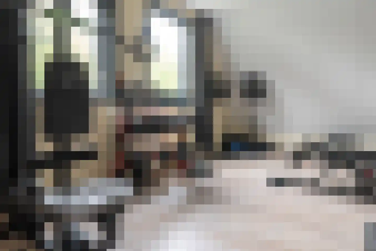 Dwarsryd 3 Idskenhuizen thumbnail 19