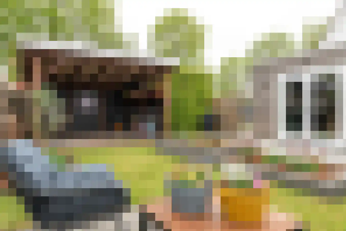 Dwarsryd 3 Idskenhuizen thumbnail 25