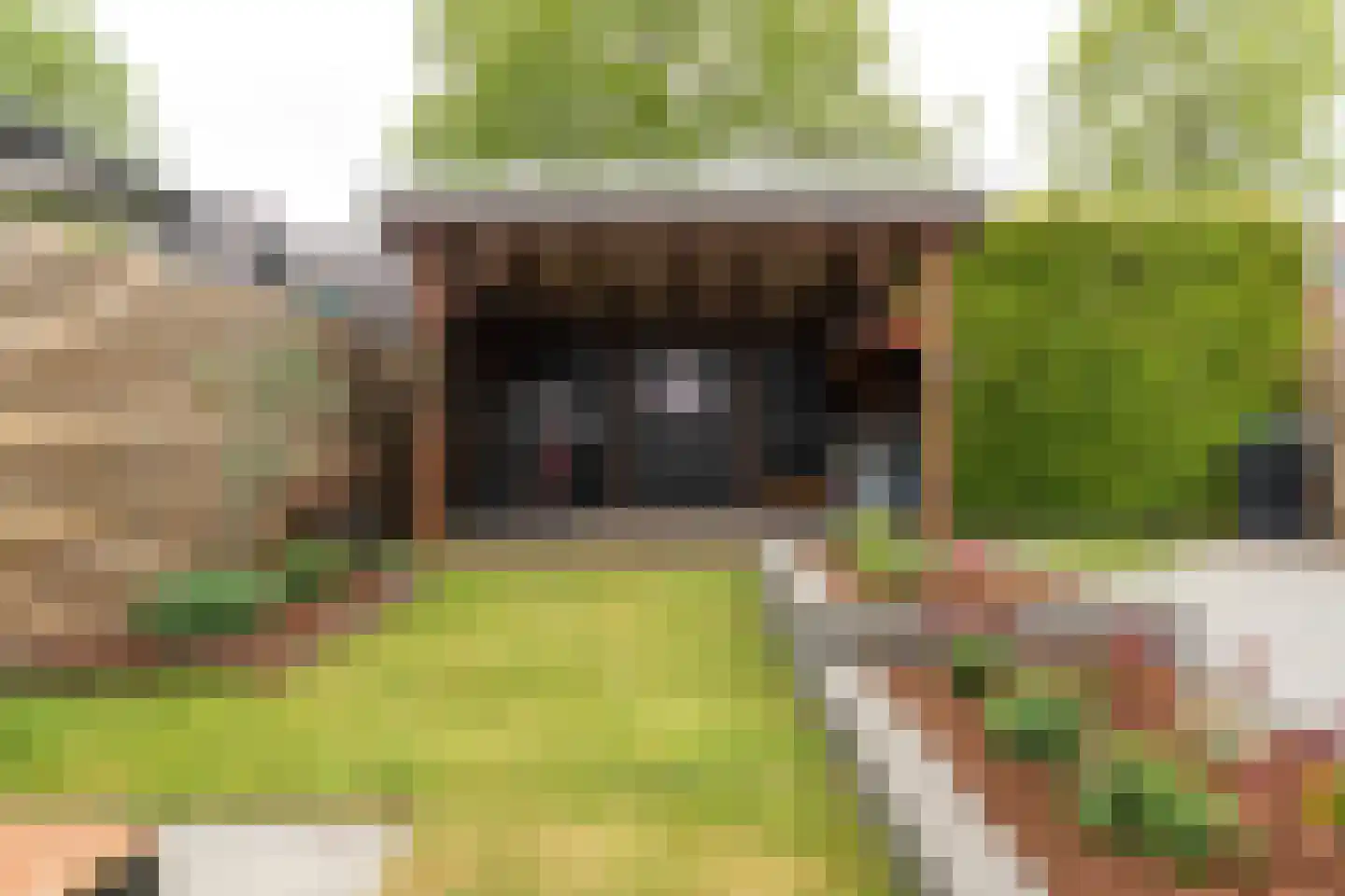 Dwarsryd 3 Idskenhuizen thumbnail 26