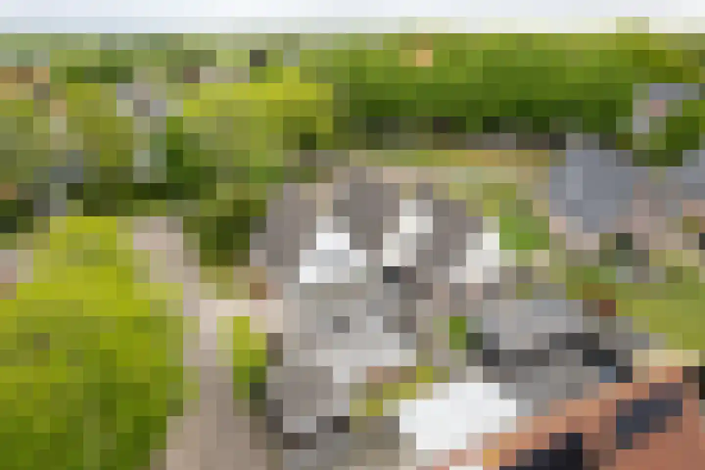 Dwarsryd 3 Idskenhuizen thumbnail 28