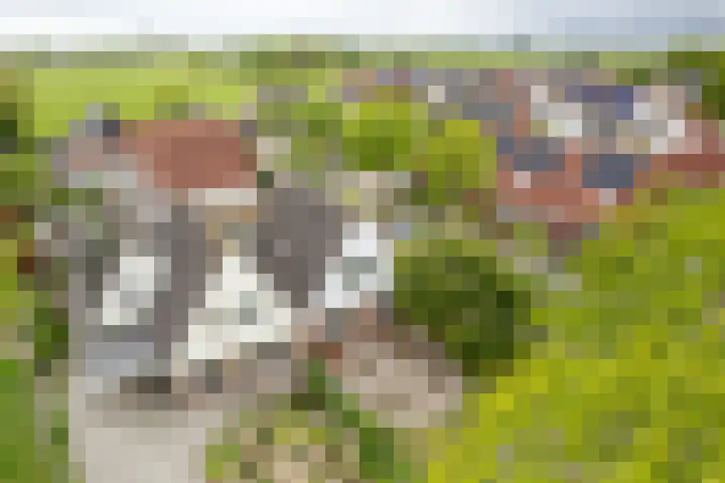 Dwarsryd 3 Idskenhuizen thumbnail 30