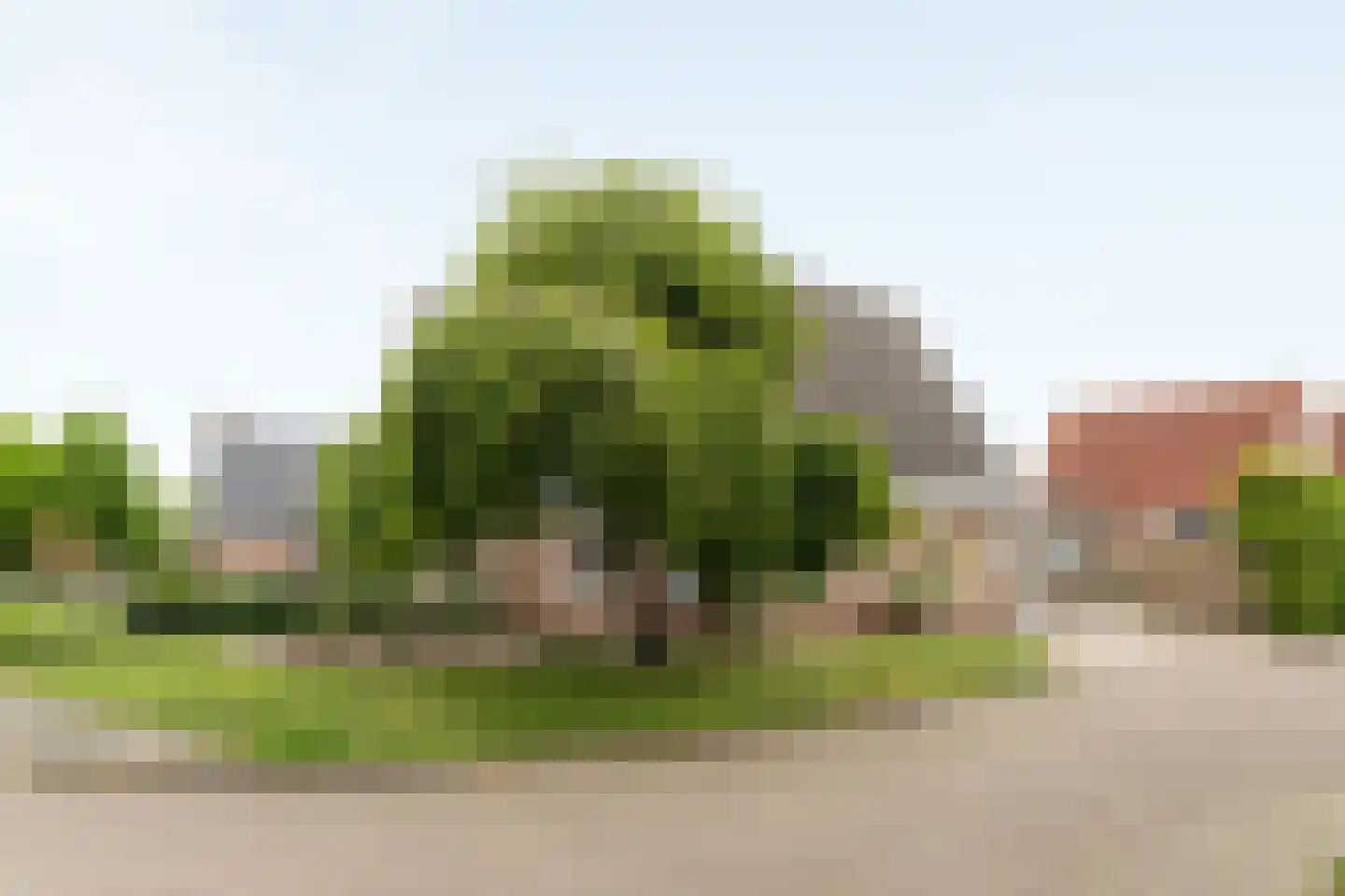 Dwarsryd 3 Idskenhuizen thumbnail 32