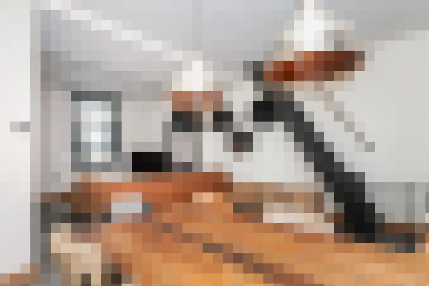 Dwarssteeg 4 Vlaardingen thumbnail 12