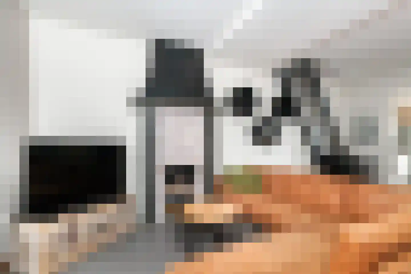 Dwarssteeg 4 Vlaardingen thumbnail 13