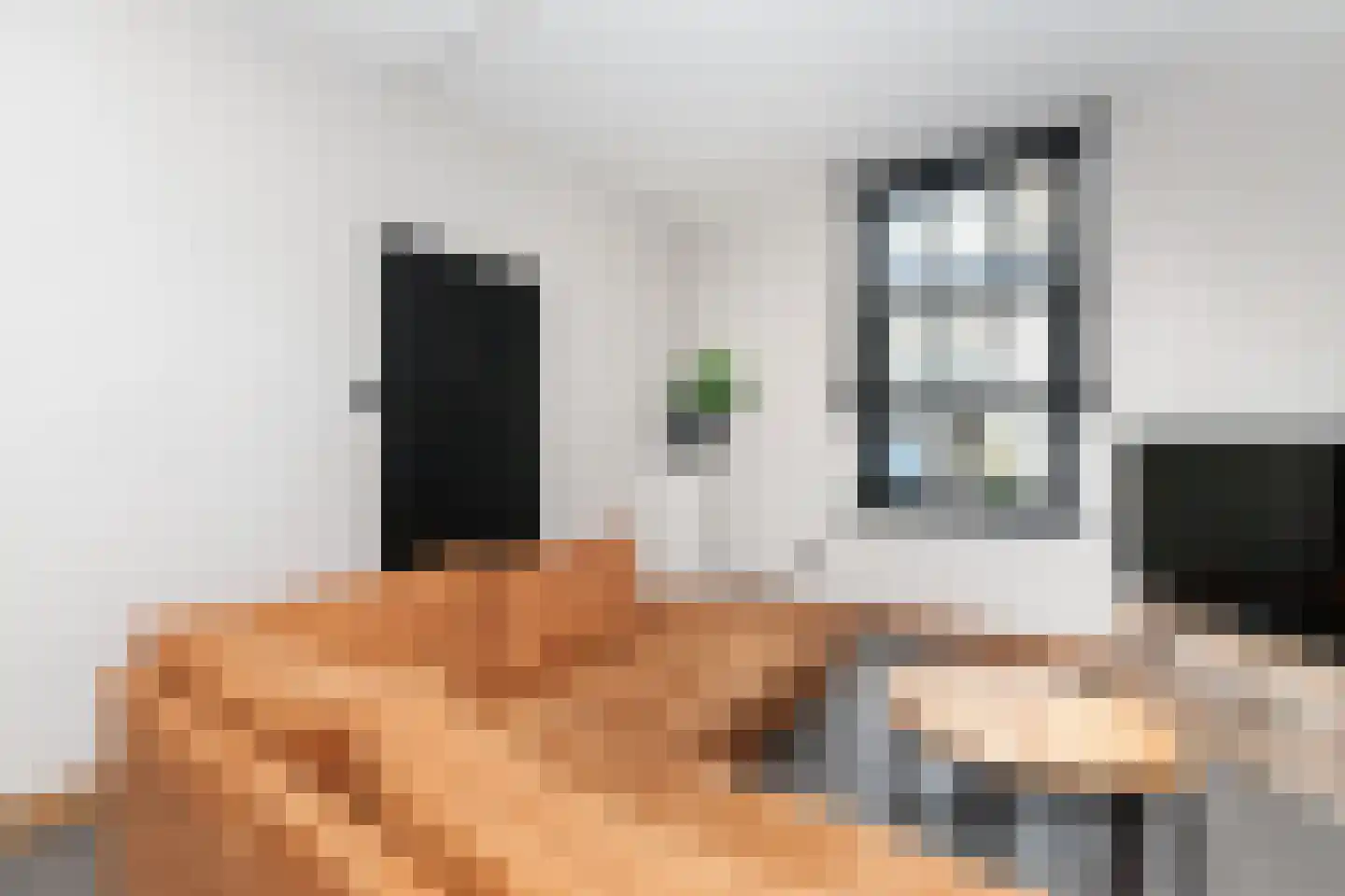 Dwarssteeg 4 Vlaardingen thumbnail 17