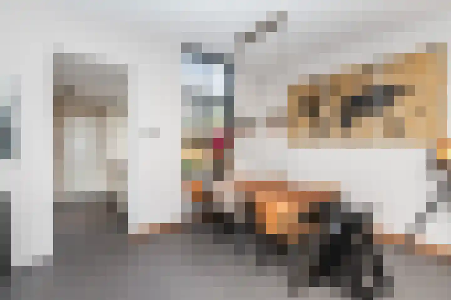 Dwarssteeg 4 Vlaardingen thumbnail 18