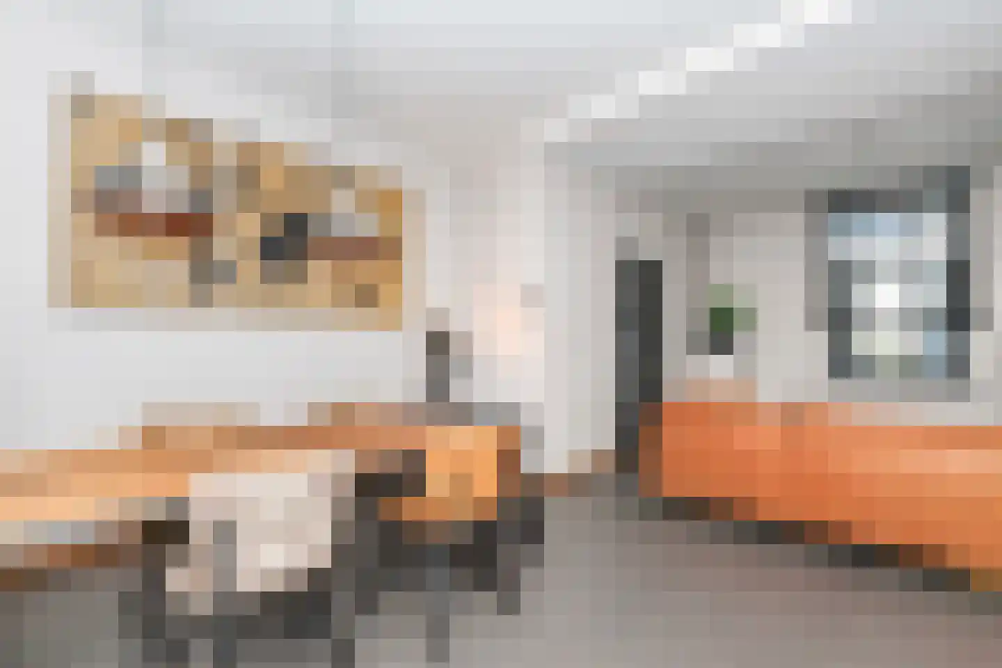 Dwarssteeg 4 Vlaardingen thumbnail 19
