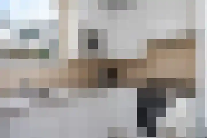 Dwarssteeg 7 Vlaardingen thumbnail 18