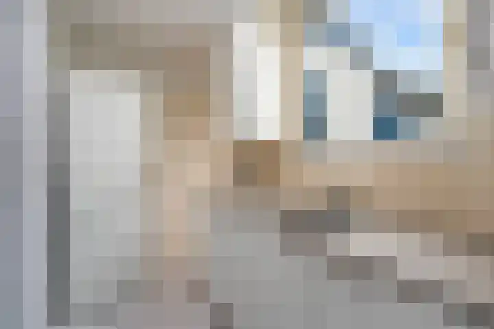 Dwarssteeg 7 Vlaardingen thumbnail 22