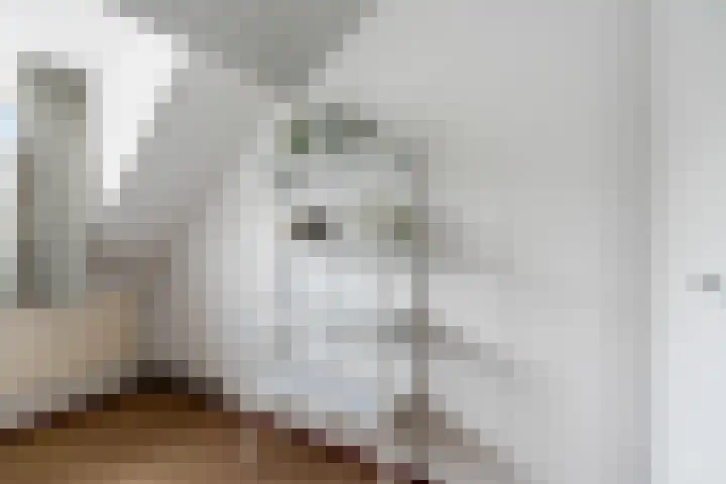Dwarssteeg 7 Vlaardingen thumbnail 29