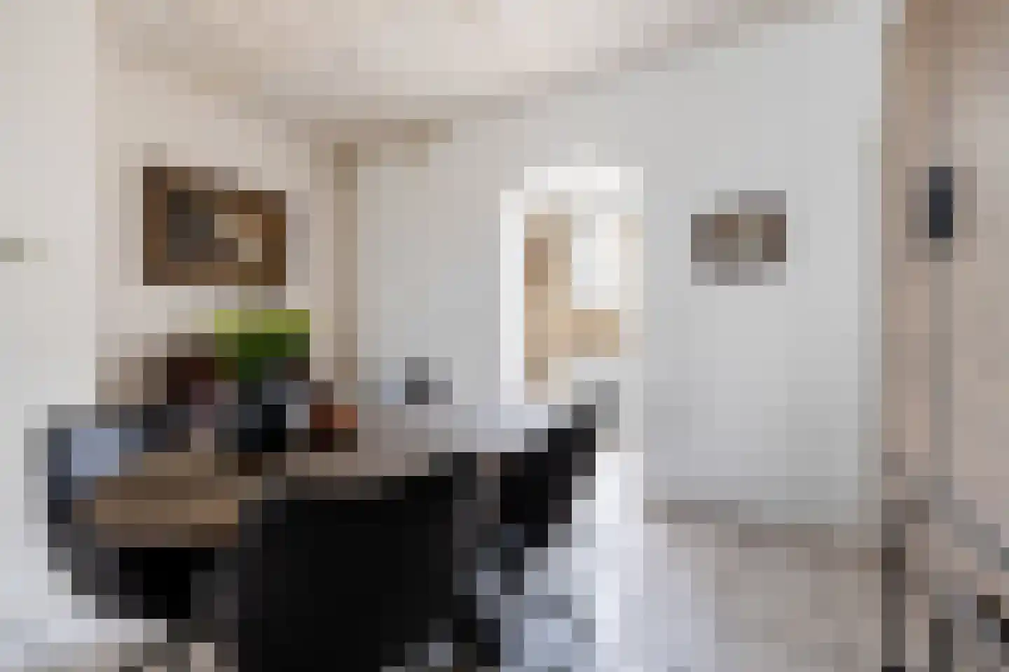 Dwarssteeg 7 Vlaardingen thumbnail 7