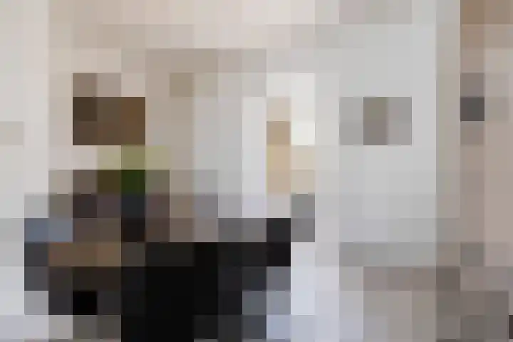 Dwarssteeg 7 Vlaardingen thumbnail 7