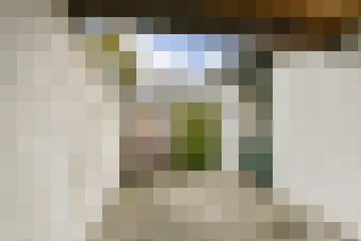 Dwarssteeg 8 Vlaardingen thumbnail 14