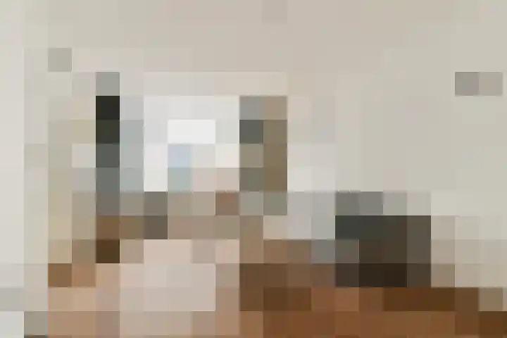 Dwarssteeg 8 Vlaardingen thumbnail 7