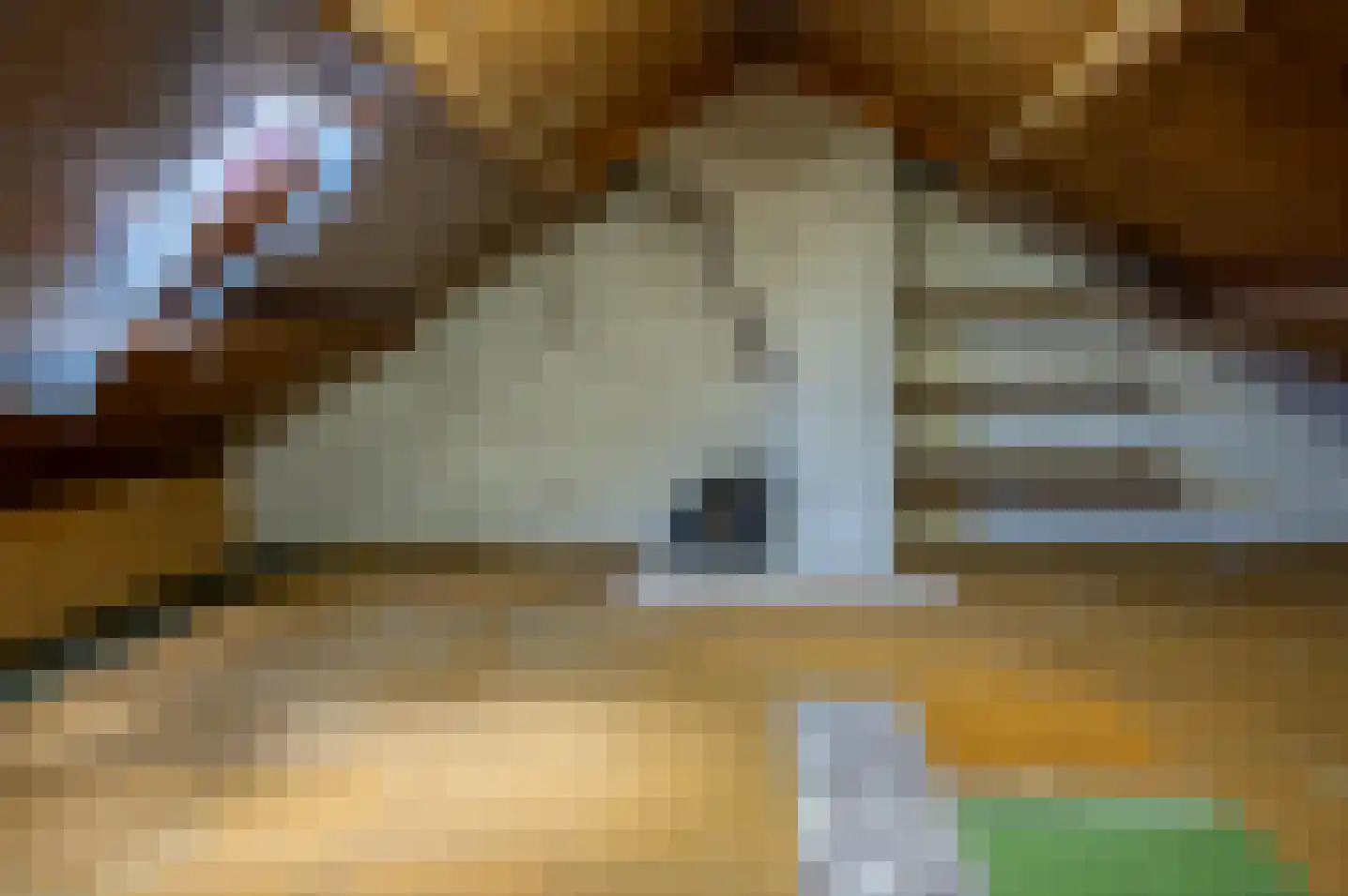 Dwarsstraat 10 Hengelo (Gld) thumbnail 37