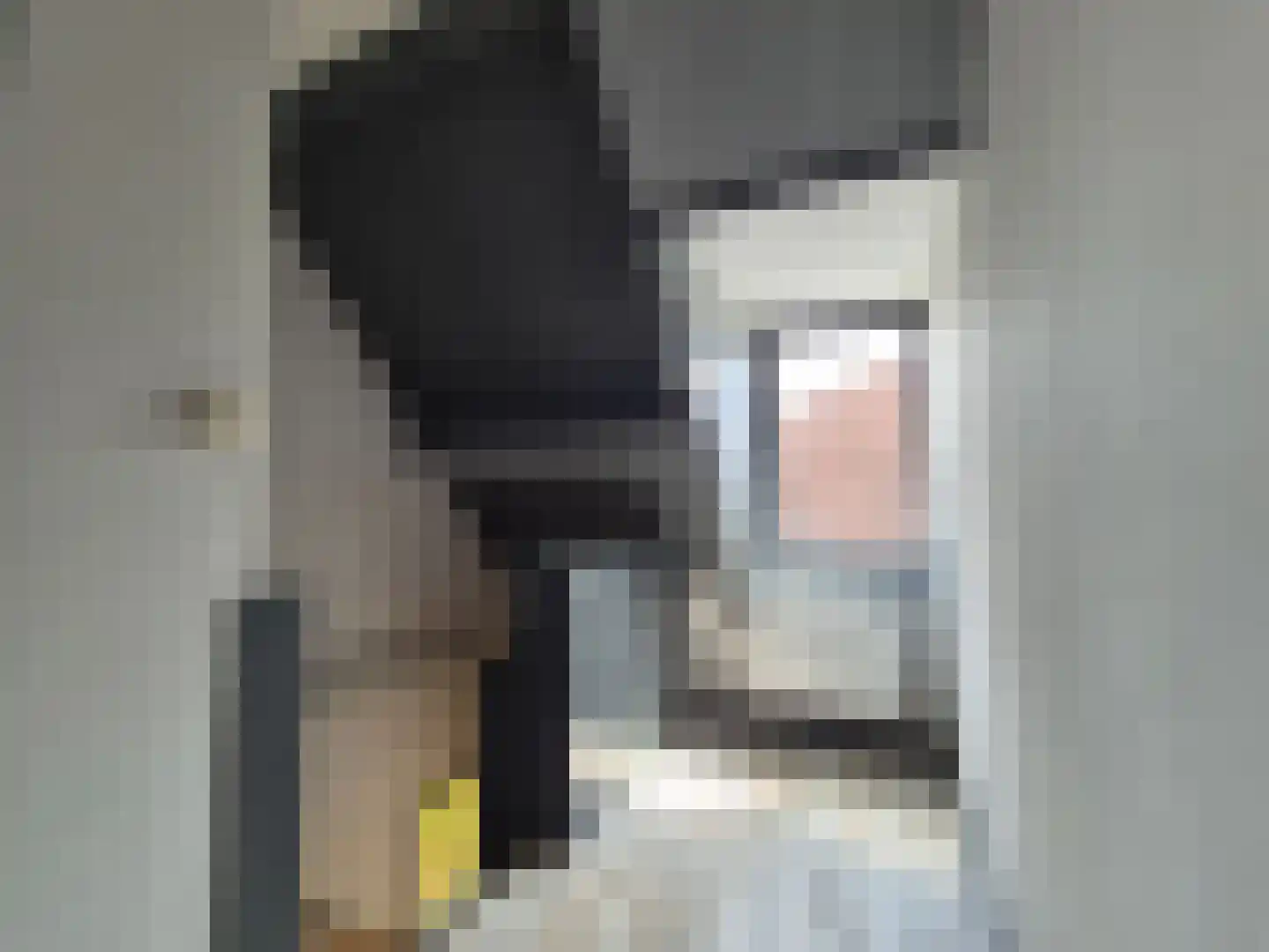 Dwarsstraat 11 Alphen aan den Rijn thumbnail 13