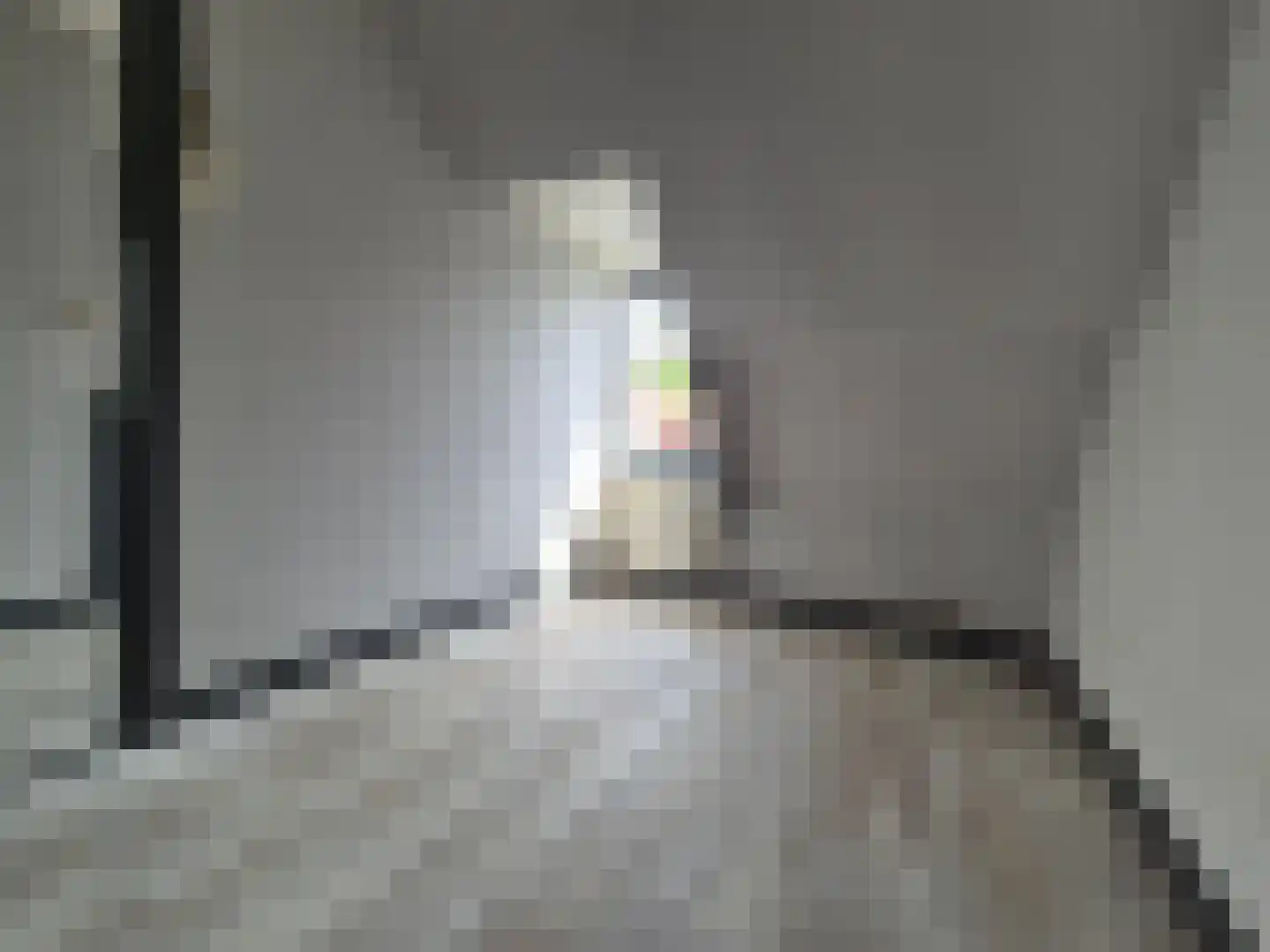 Dwarsstraat 11 Alphen aan den Rijn thumbnail 14