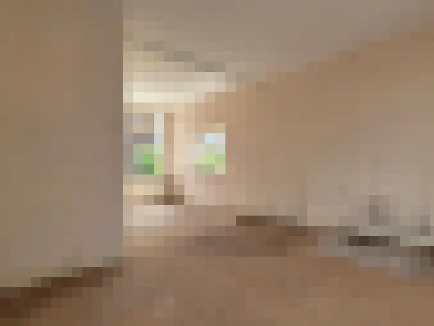 Dwarsstraat 11 Alphen aan den Rijn thumbnail 7
