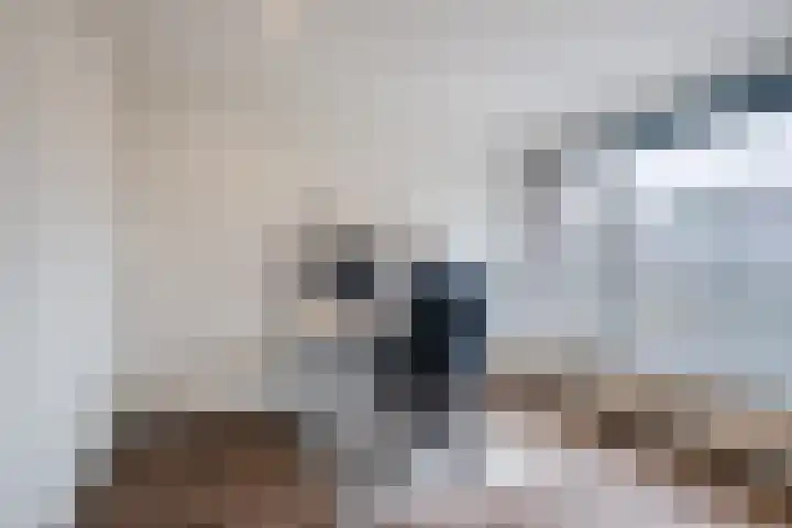 Dwarsstraat 113 Geldrop thumbnail 16