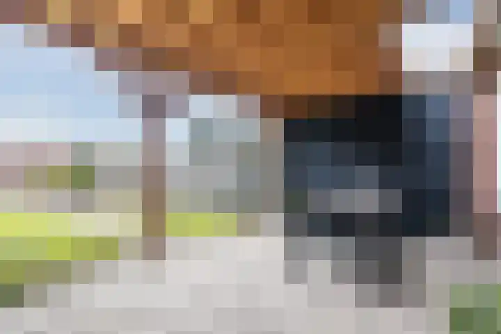 Dwarsstraat 113 Geldrop thumbnail 22