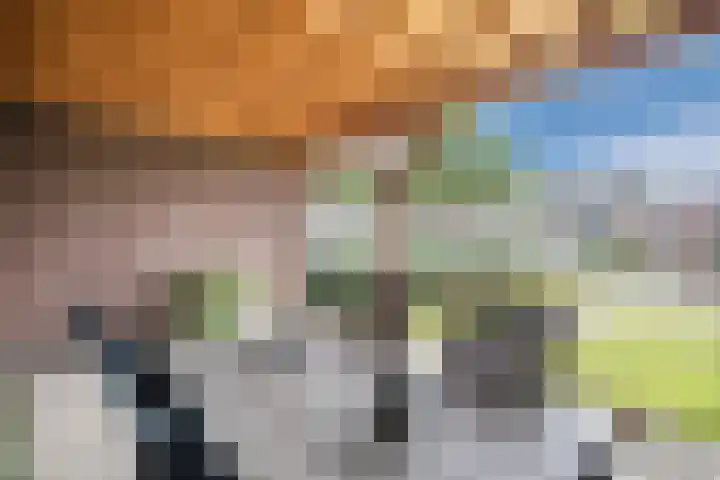 Dwarsstraat 113 Geldrop thumbnail 24