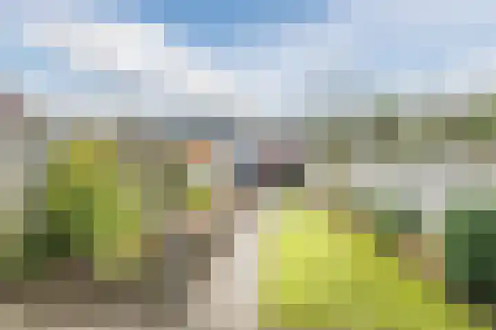 Dwarsstraat 113 Geldrop thumbnail 28