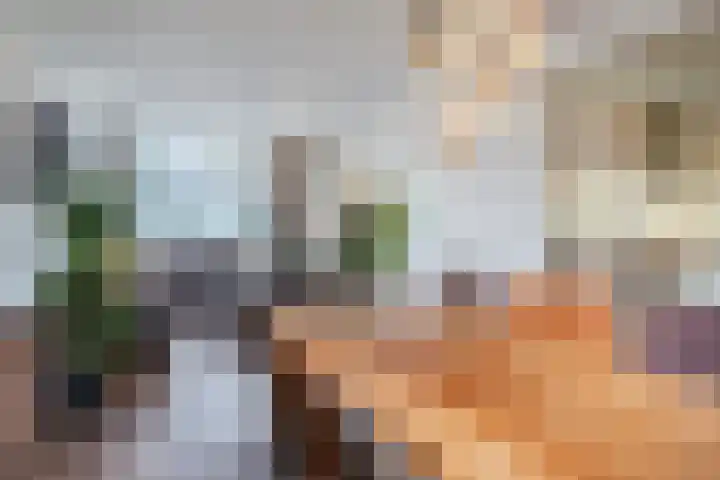 Dwarsstraat 113 Geldrop thumbnail 9