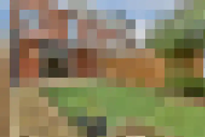 Dwarsstraat 12 Schiedam thumbnail 4