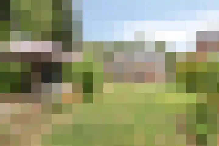 Dwarsstraat 121 Geldrop thumbnail 27