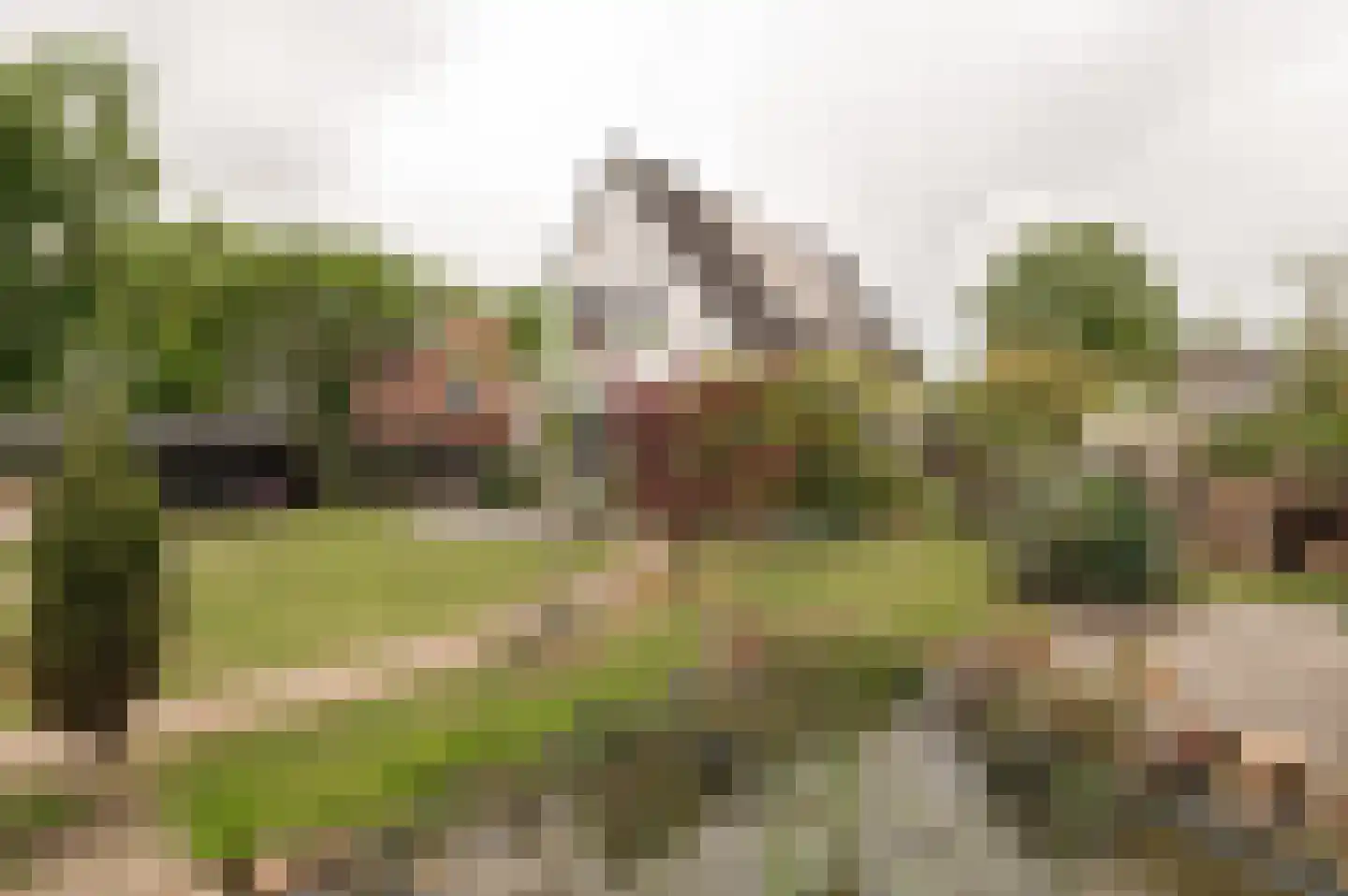 Dwarsstraat 13 Geldermalsen thumbnail 10