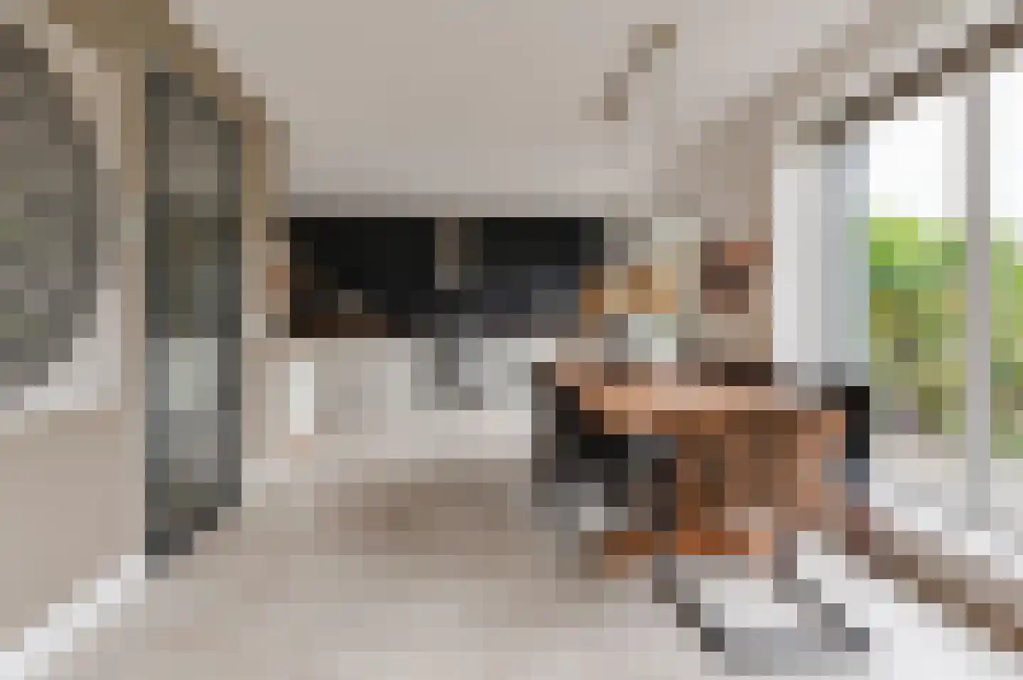 Dwarsstraat 13 Geldermalsen thumbnail 21