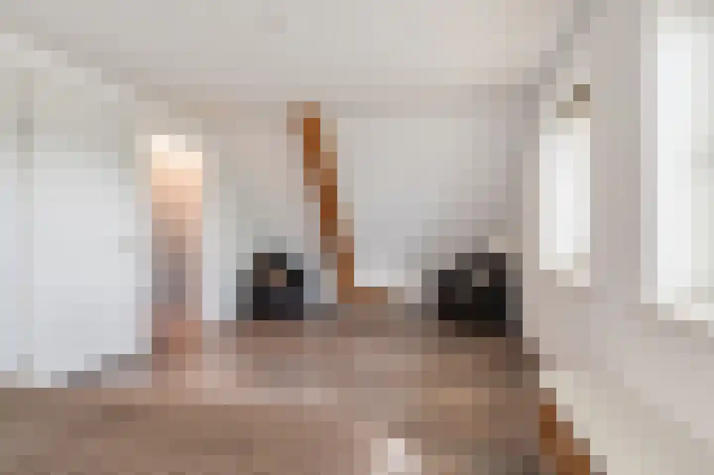 Dwarsstraat 13 Geldermalsen thumbnail 33