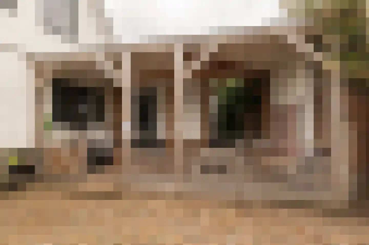 Dwarsstraat 13 Geldermalsen thumbnail 5