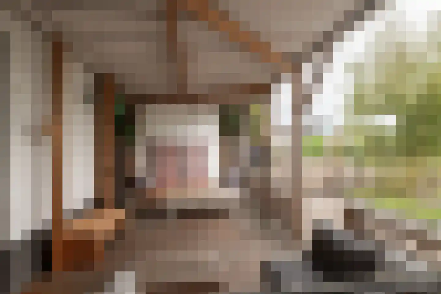 Dwarsstraat 13 Geldermalsen thumbnail 7