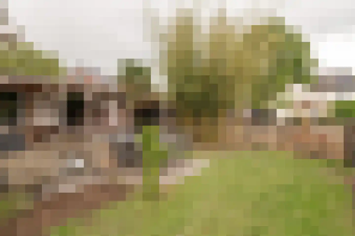 Dwarsstraat 13 Geldermalsen thumbnail 9
