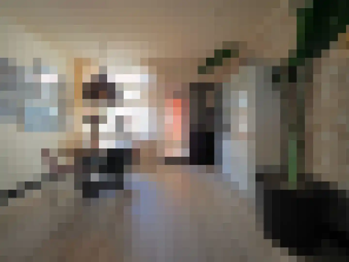 Dwarsstraat 14 Sliedrecht thumbnail 11