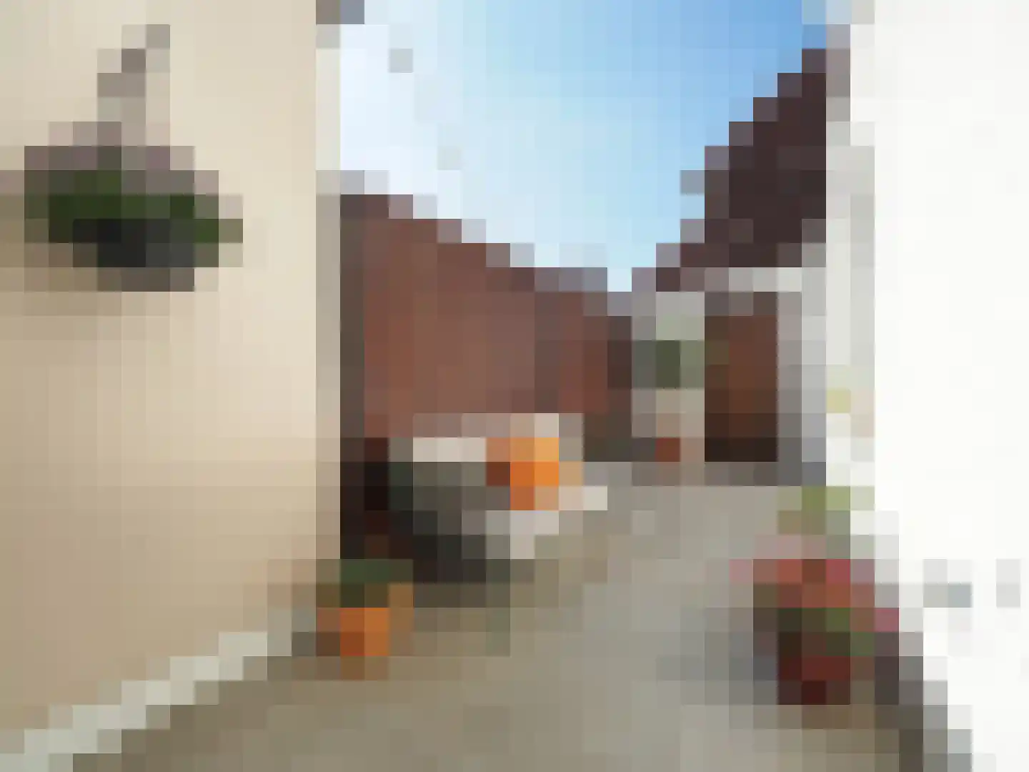 Dwarsstraat 14 Sliedrecht thumbnail 22