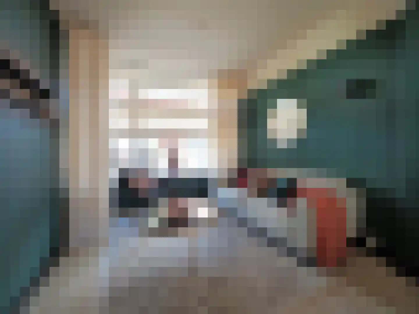 Dwarsstraat 14 Sliedrecht thumbnail 8