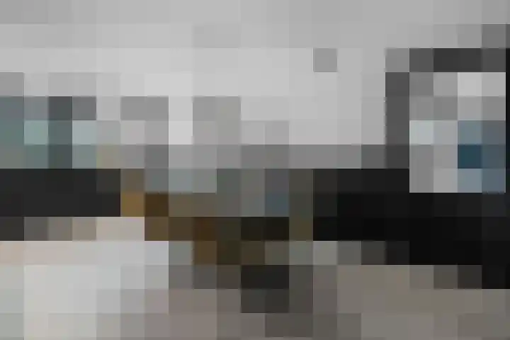 Dwarsstraat 15 Zwartemeer thumbnail 10