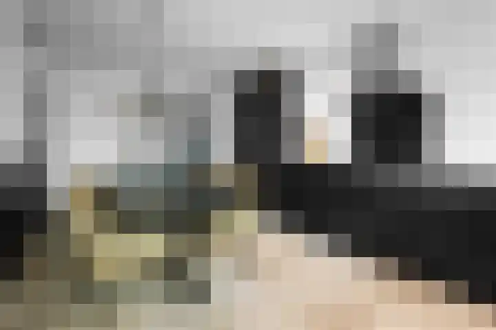 Dwarsstraat 15 Zwartemeer thumbnail 14
