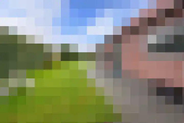 Dwarsstraat 15 Zwartemeer thumbnail 32