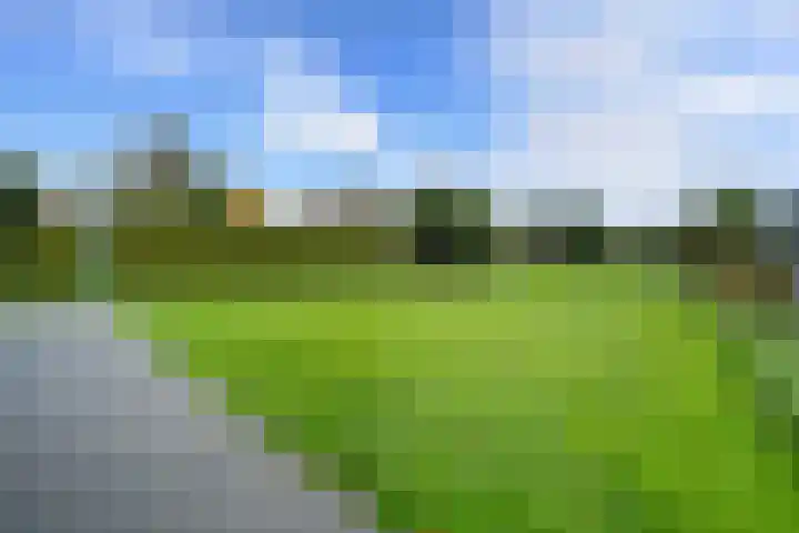 Dwarsstraat 15 Zwartemeer thumbnail 33