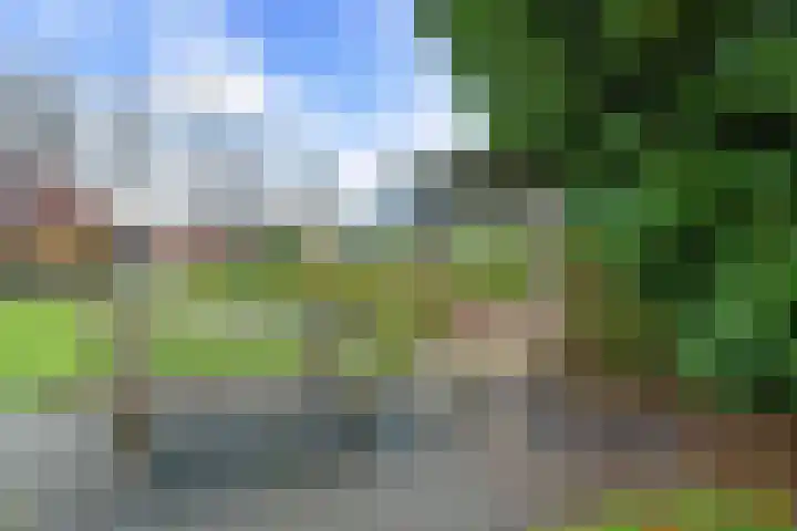 Dwarsstraat 15 Zwartemeer thumbnail 35