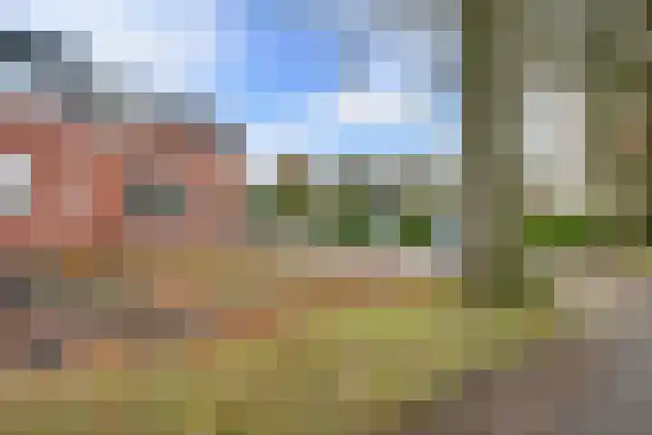 Dwarsstraat 15 Zwartemeer thumbnail 37