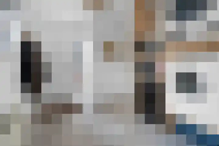Dwarsstraat 15 Zwartemeer thumbnail 4